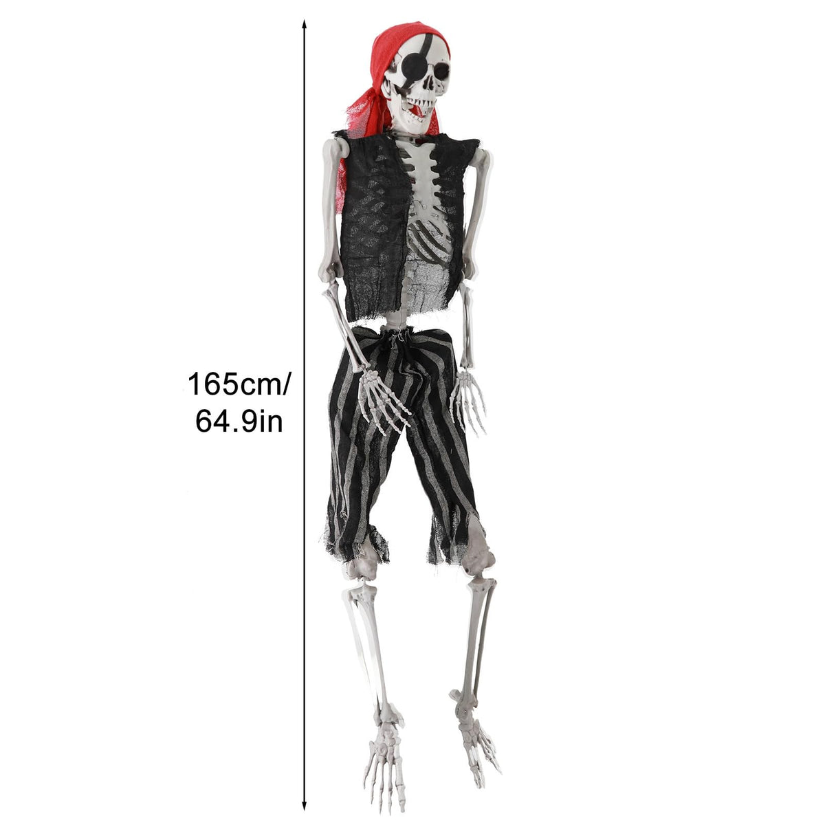 5.4Ft Poseable Skeleton with Movable Joints Z600