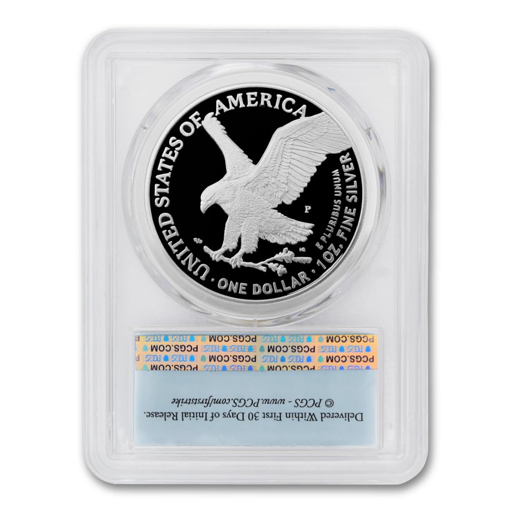 1 oz American Silver Eagle Coin D21637