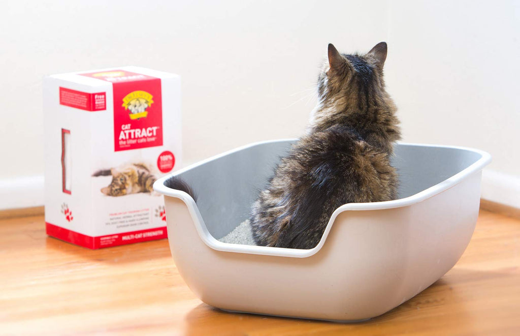Cat Attract Training Litter 20 Pound B217105