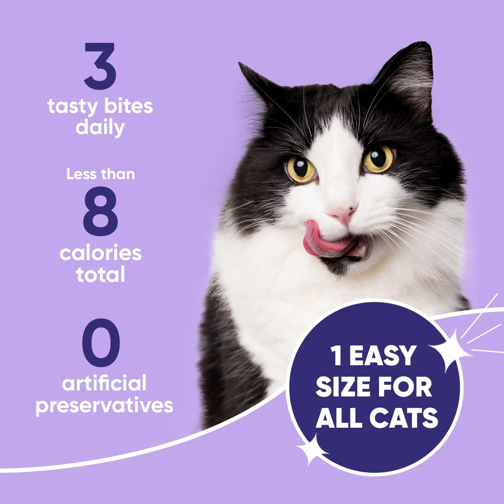 Cat Dental Care V2191