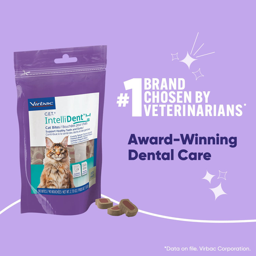 Cat Dental Care V2191