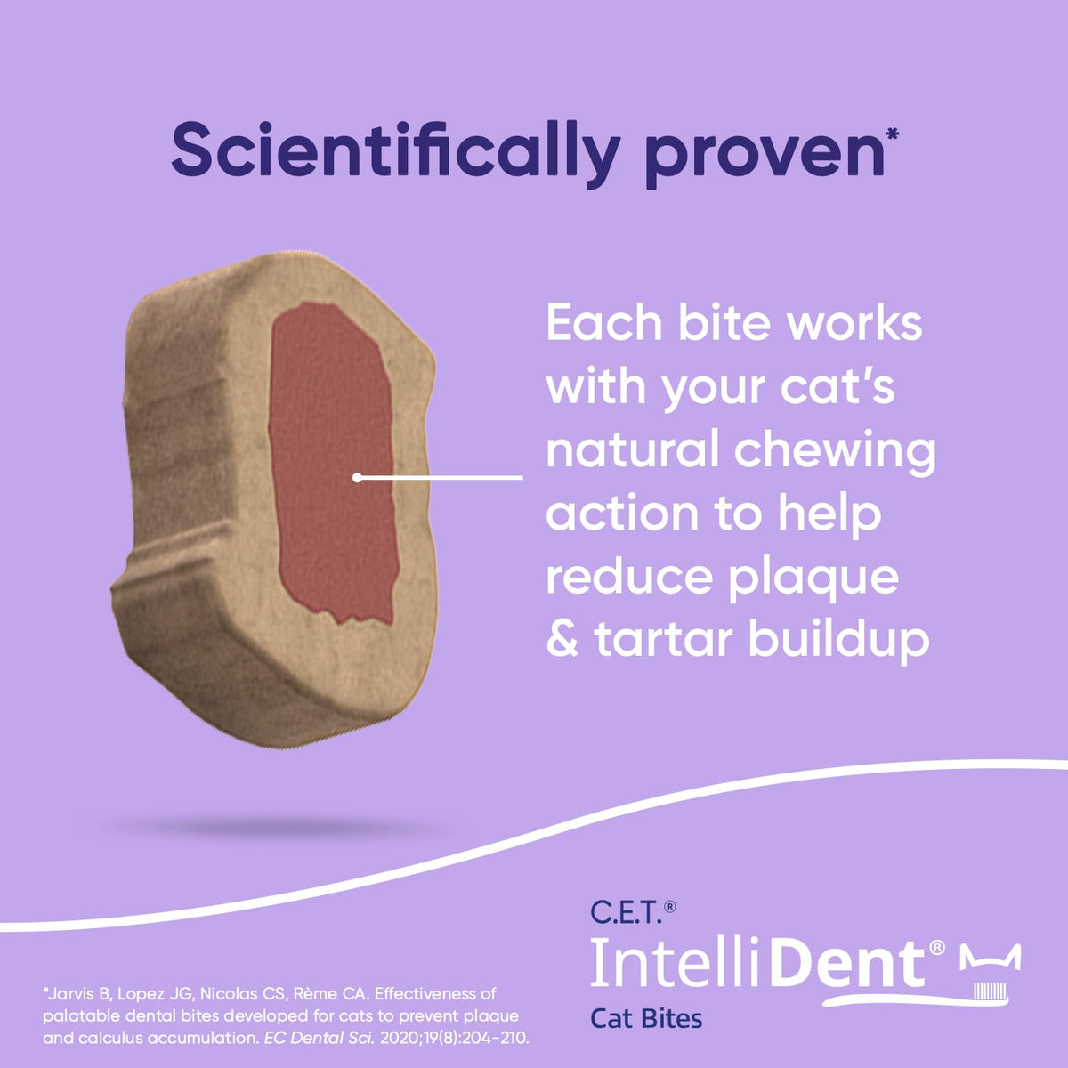 Cat Dental Care V2191