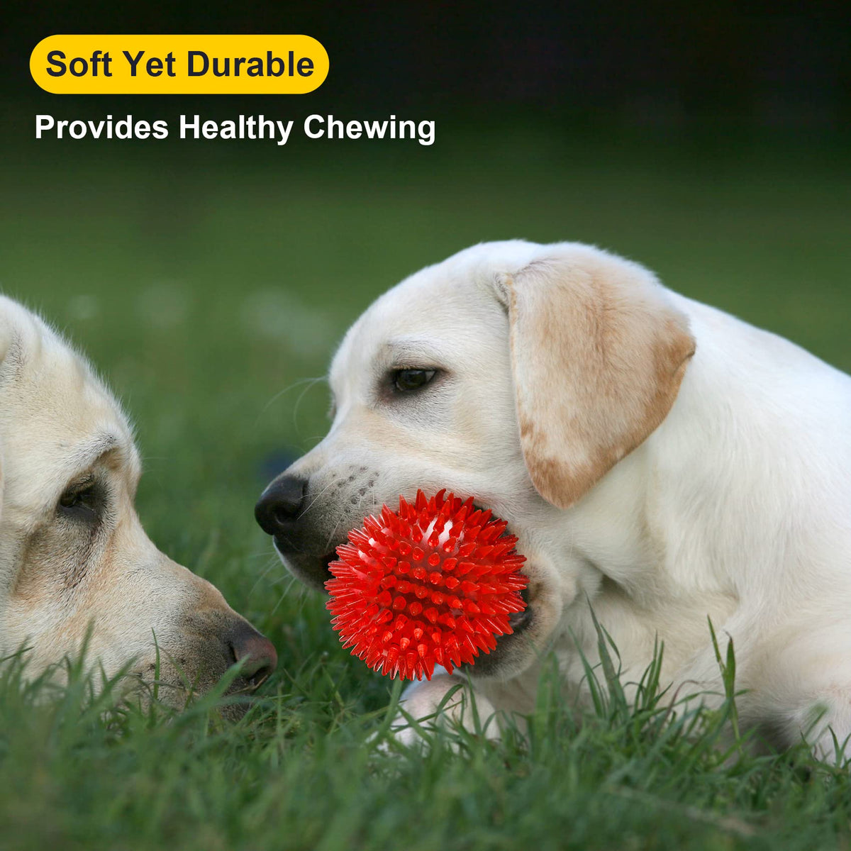 Squeaky Dog Toy Balls BPA Free Non-Toxic H731