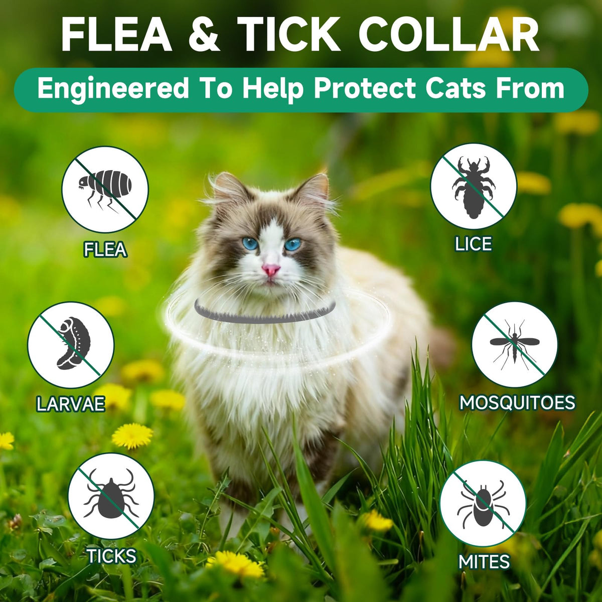 Grey 4-Pack Cat Flea and Tick Collar W662107
