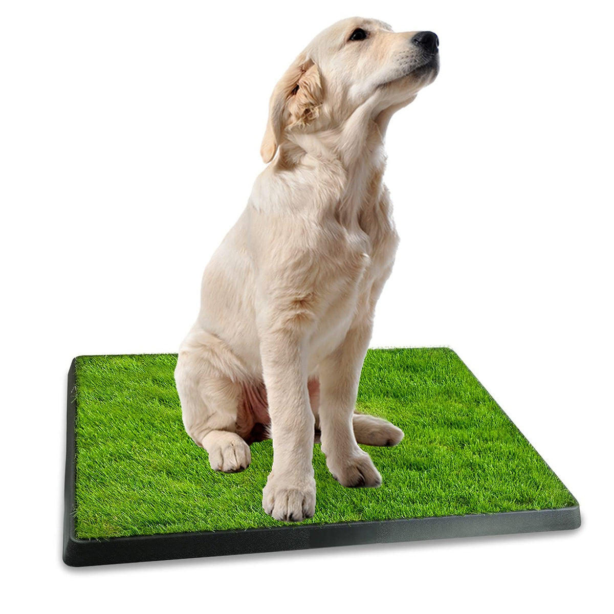 Indoor Dog Toilet with Artificial Grass 25" x 20" Q708