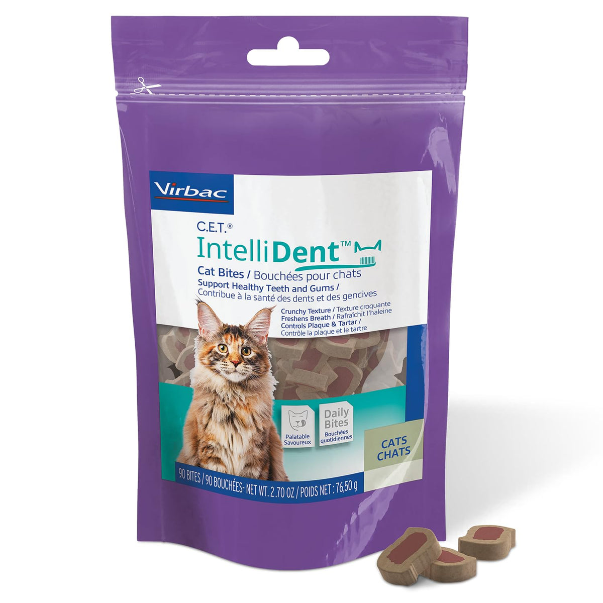 Cat Dental Care V2191