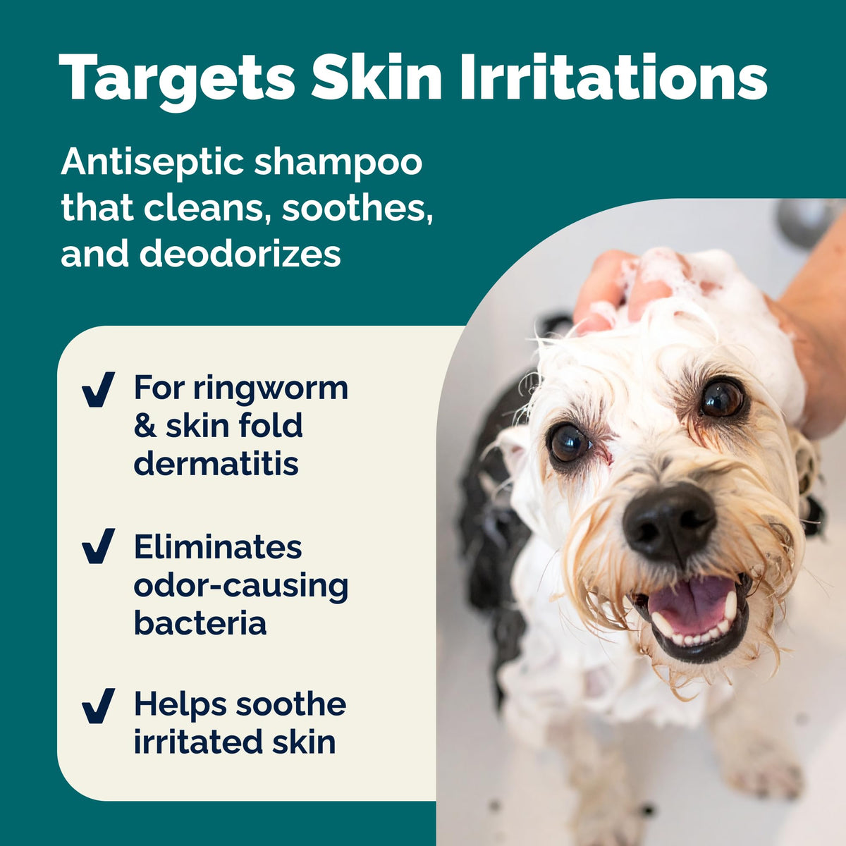Medicated Cat & Dog Shampoo R804