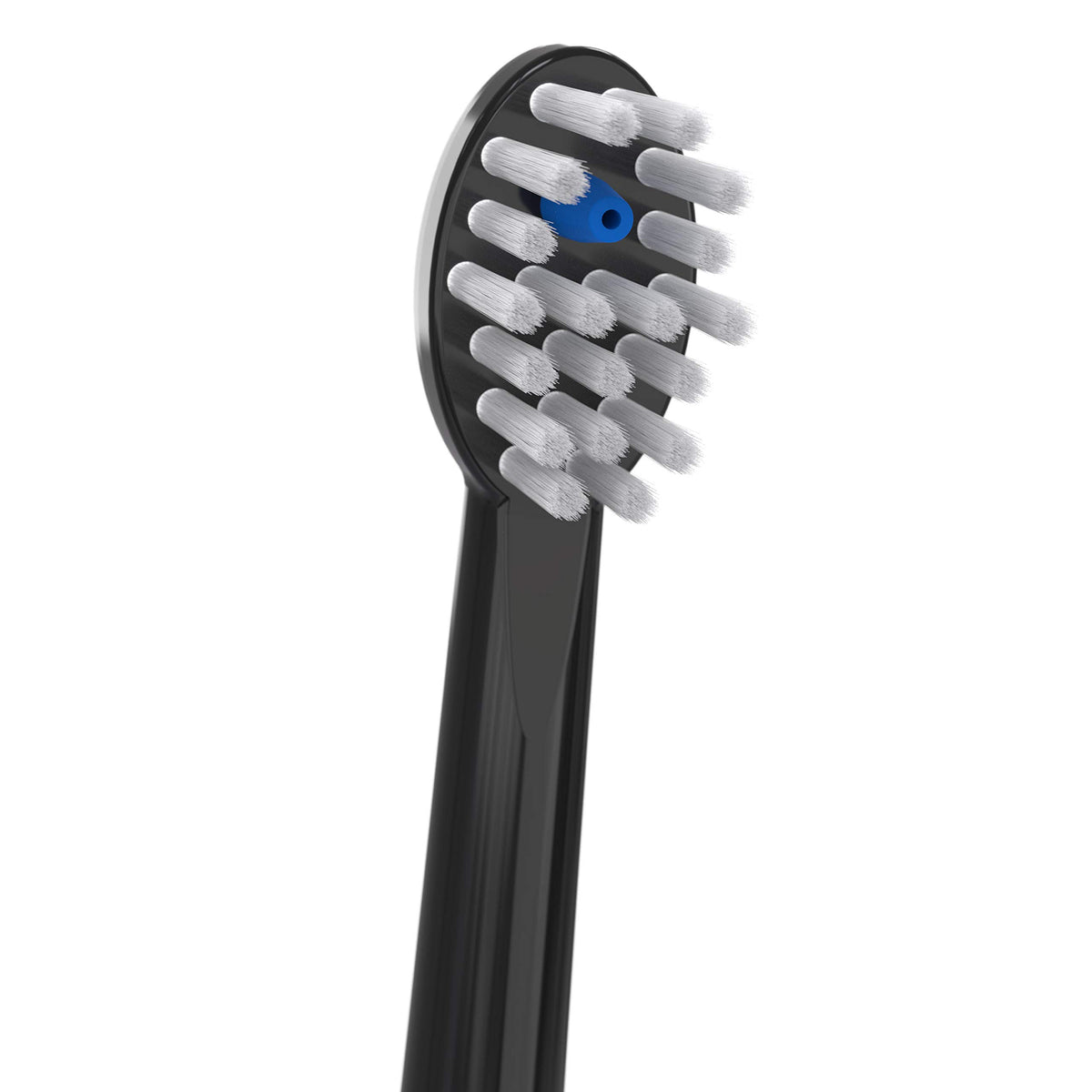 Black Replacement Brush Heads, 2 Count N48512