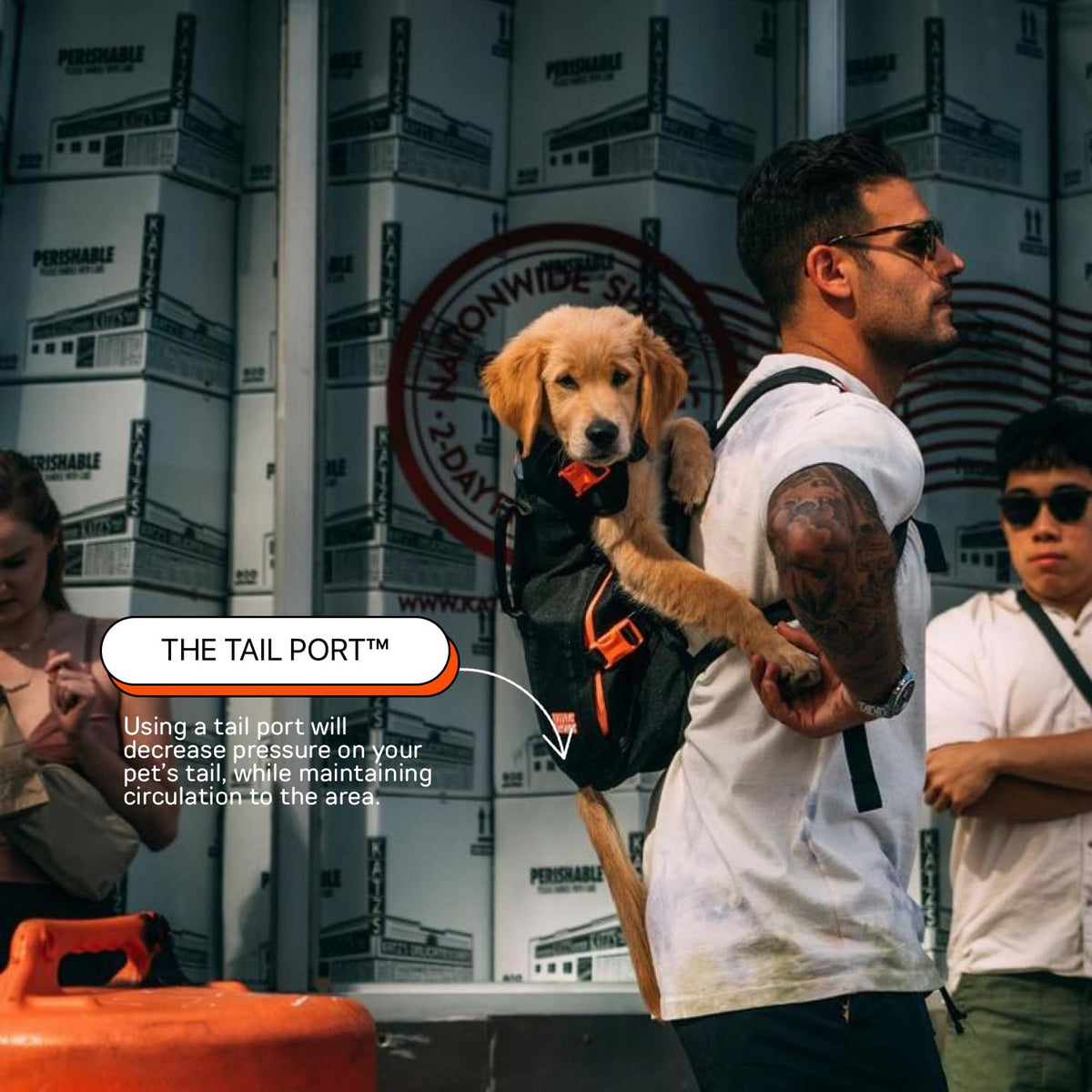 Dog Backpack Carrier T841