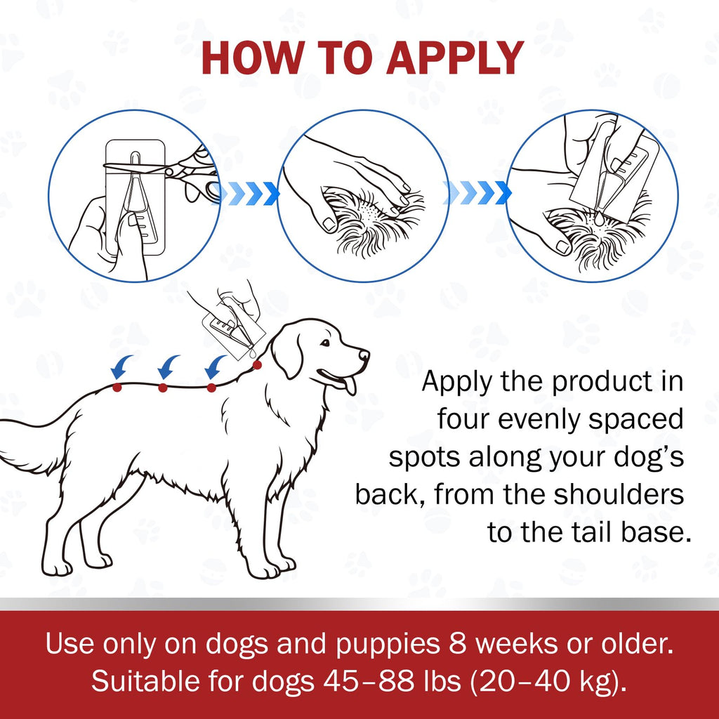 Large Dog Flea and Tick Prevention 6-Month Supply Y711
