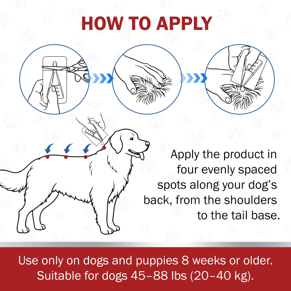 Large Dog Flea and Tick Prevention 6-Month Supply Y711