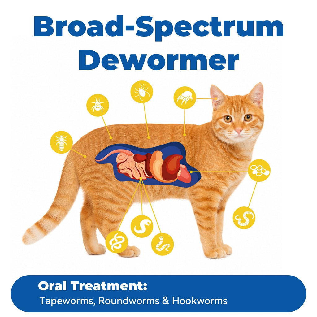 7 Way De-Wormer Chewable Tablets for Dogs & Cats, 50 Count V282472