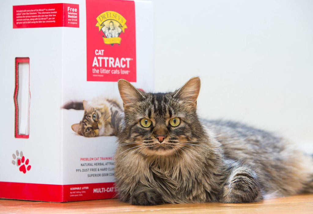 Cat Attract Training Litter 20 Pound B217105