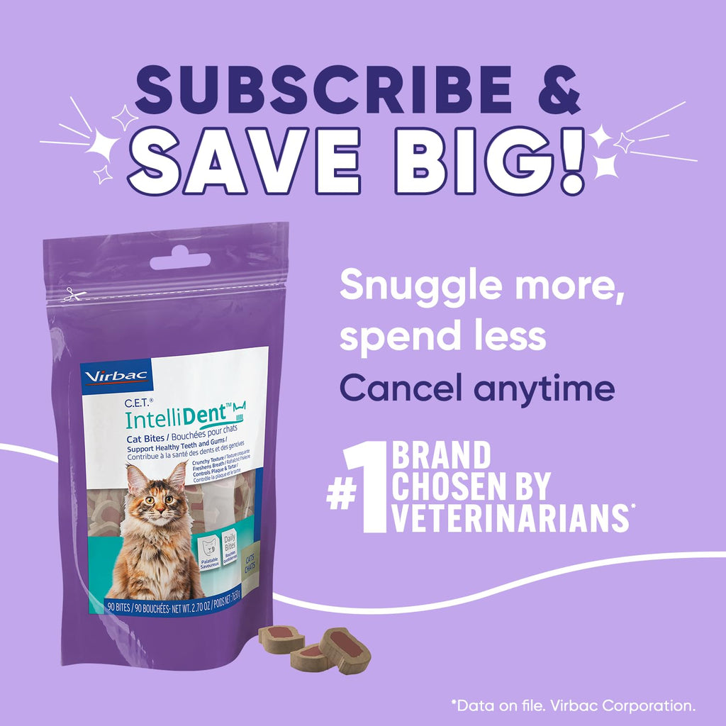 Cat Dental Care V2191