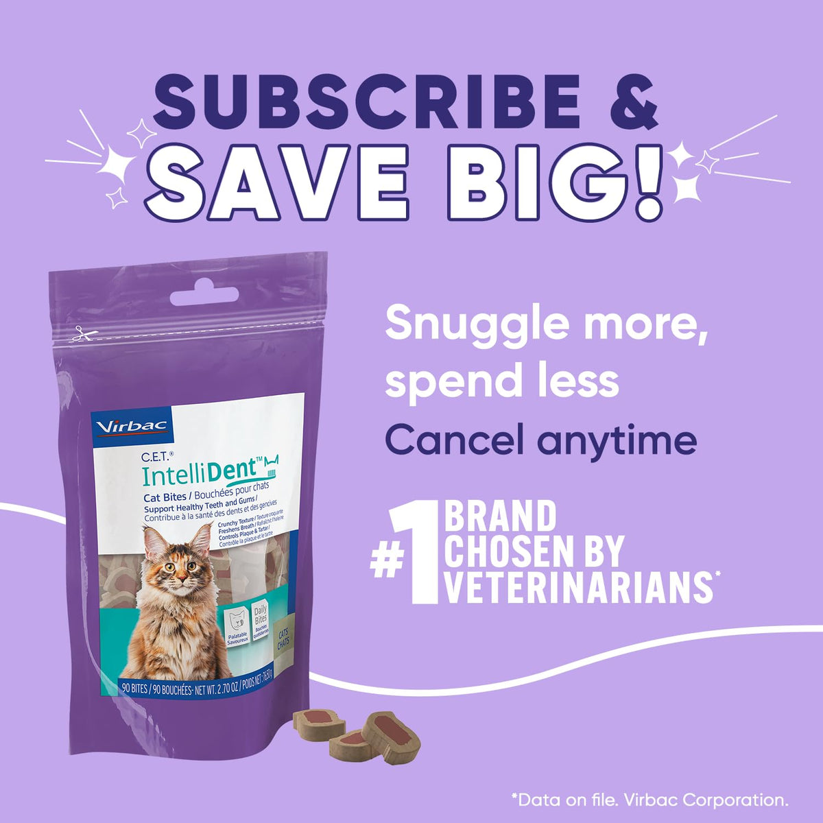 Cat Dental Care V2191