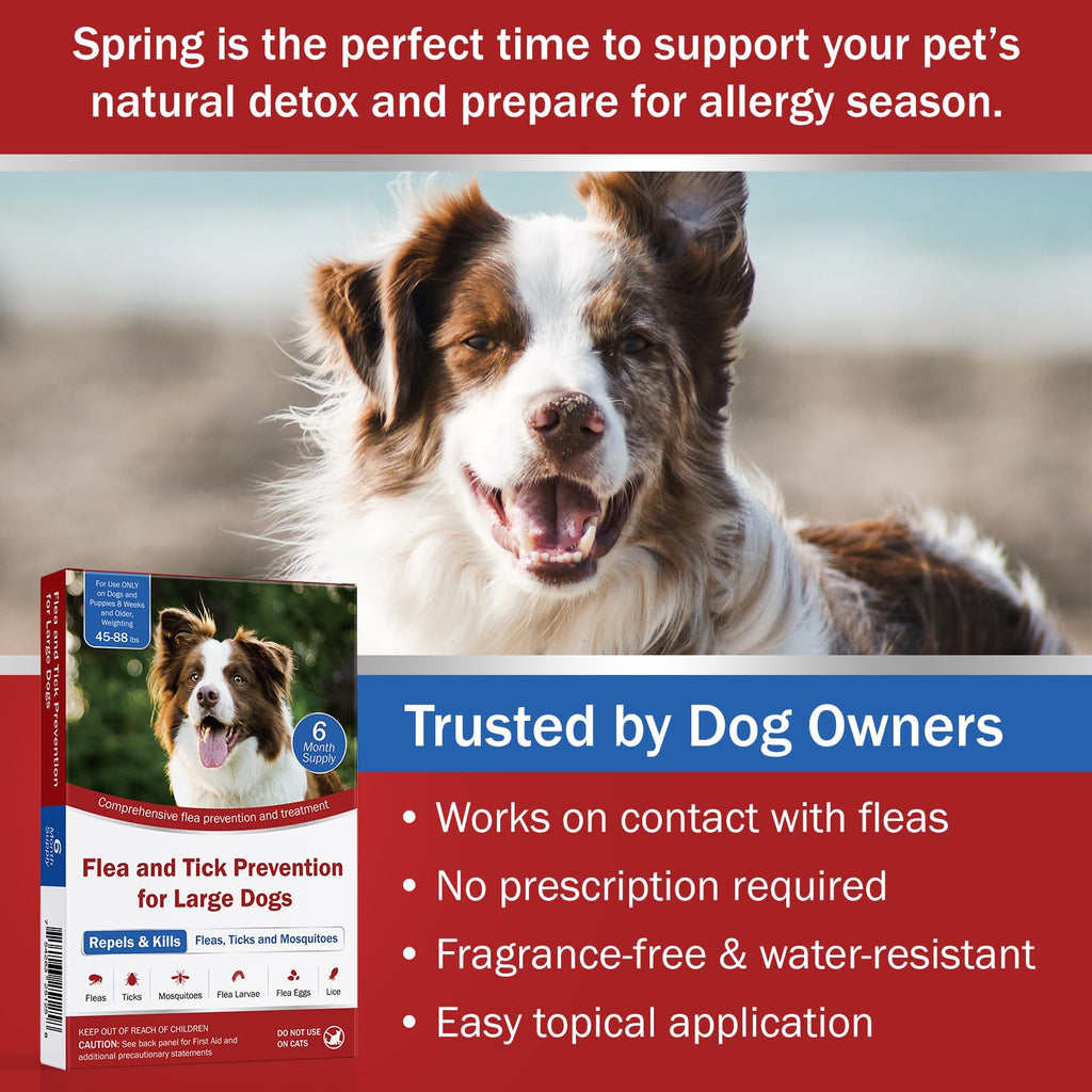 Large Dog Flea and Tick Prevention 6-Month Supply Y711