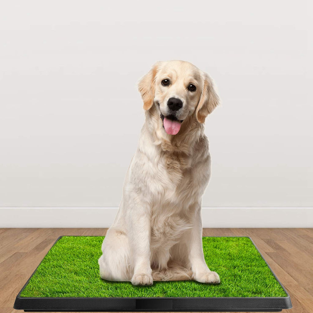 Indoor Dog Toilet with Artificial Grass 25" x 20" Q708