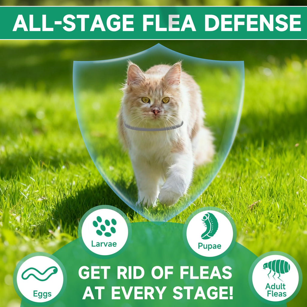Grey 4-Pack Cat Flea and Tick Collar W662107