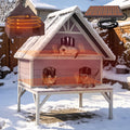 Extra Large 2-Levels Heated Insulated Cat House C2948