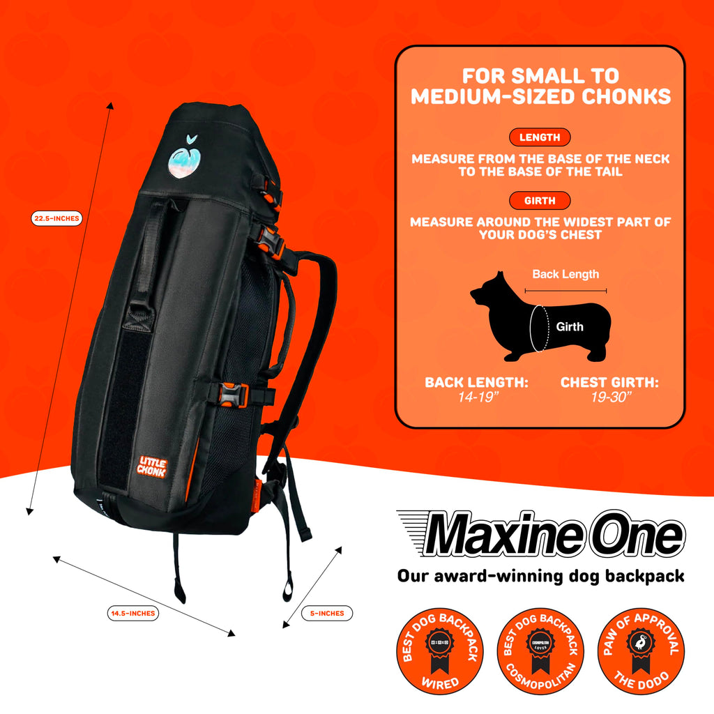 Dog Backpack Carrier T841