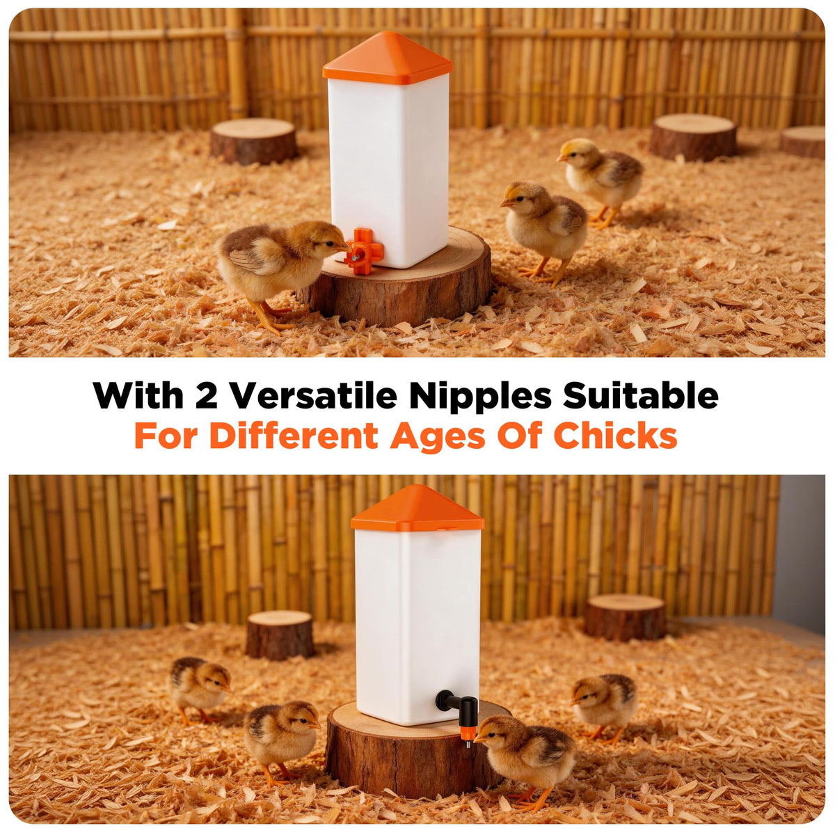 1L Baby Chick Waterer with Nipple Drinker and Anti-Roost Cone F404