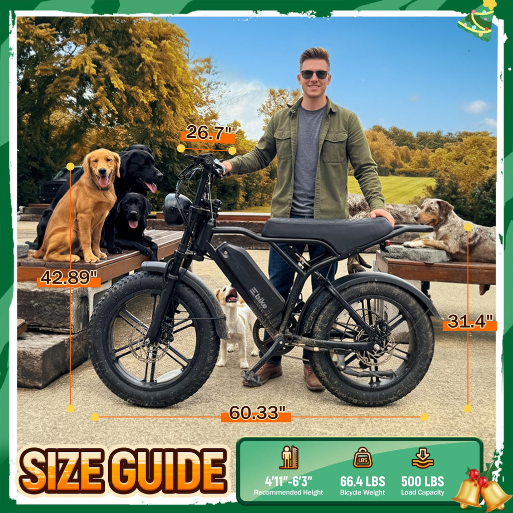 Electric Bike for Adults M681125