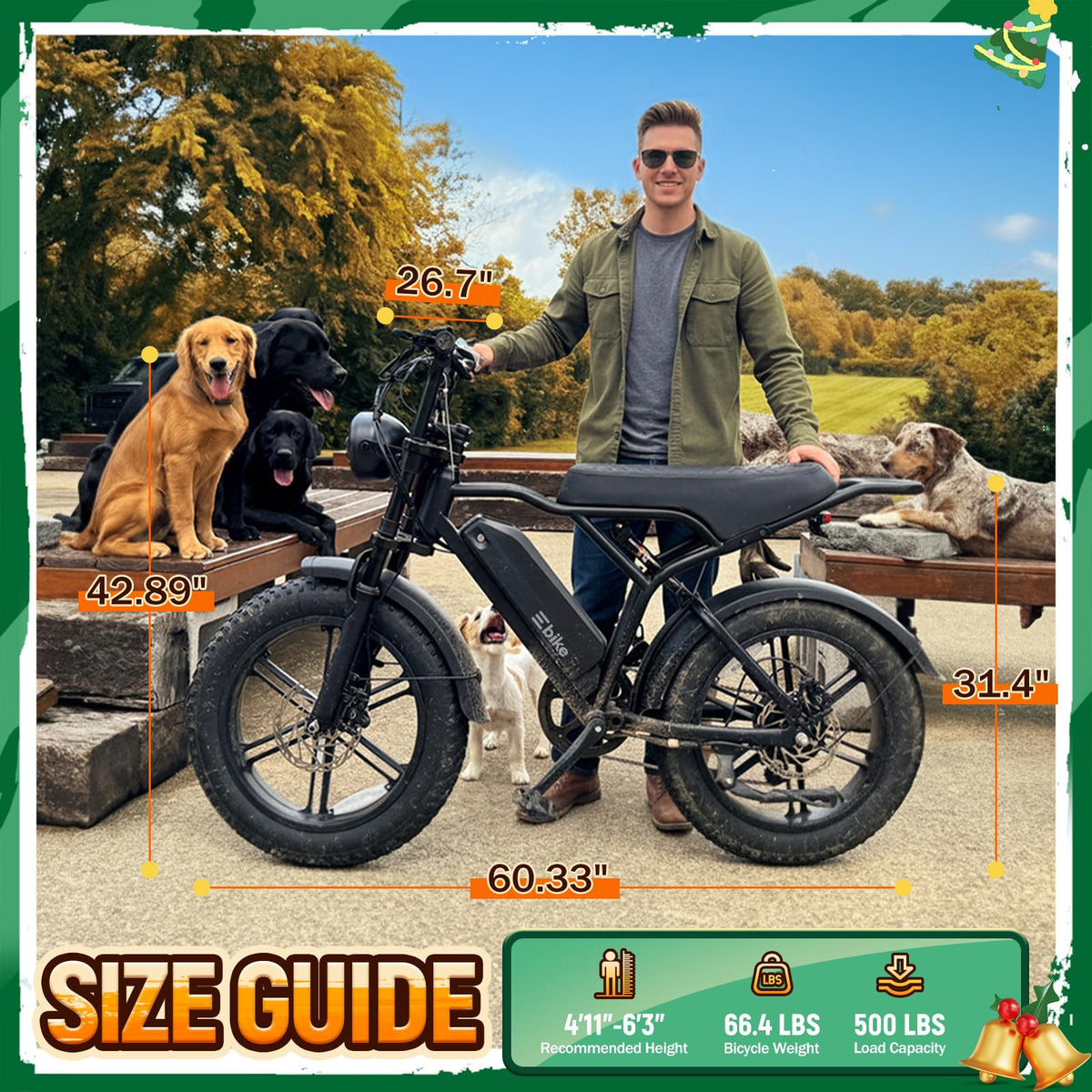 Electric Bike for Adults M681125