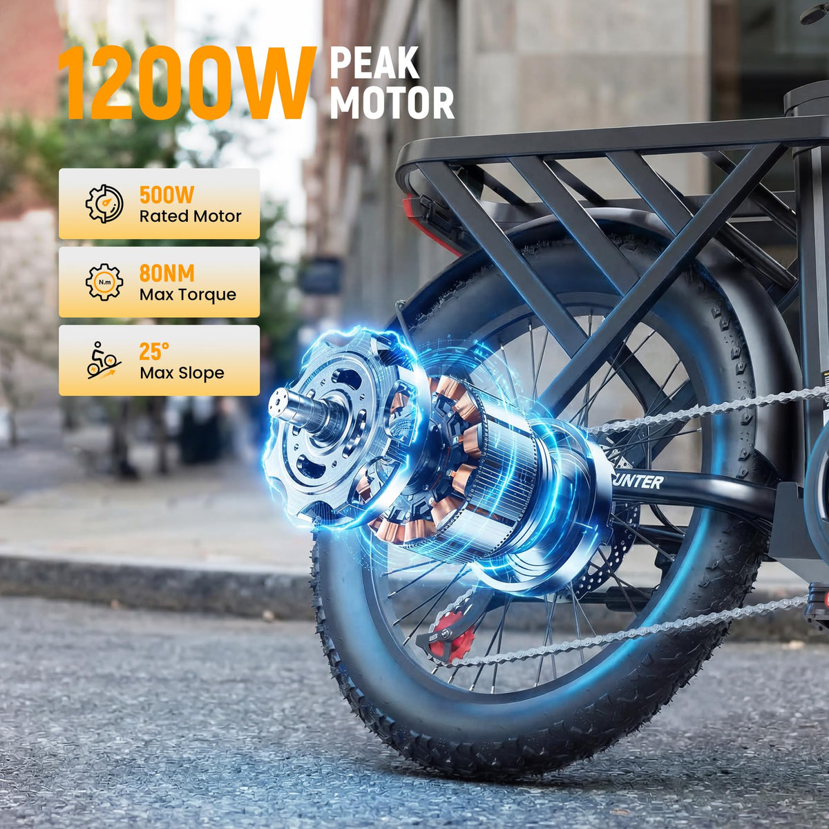 Foldable Electric Bike with 20" Fat Tires F873