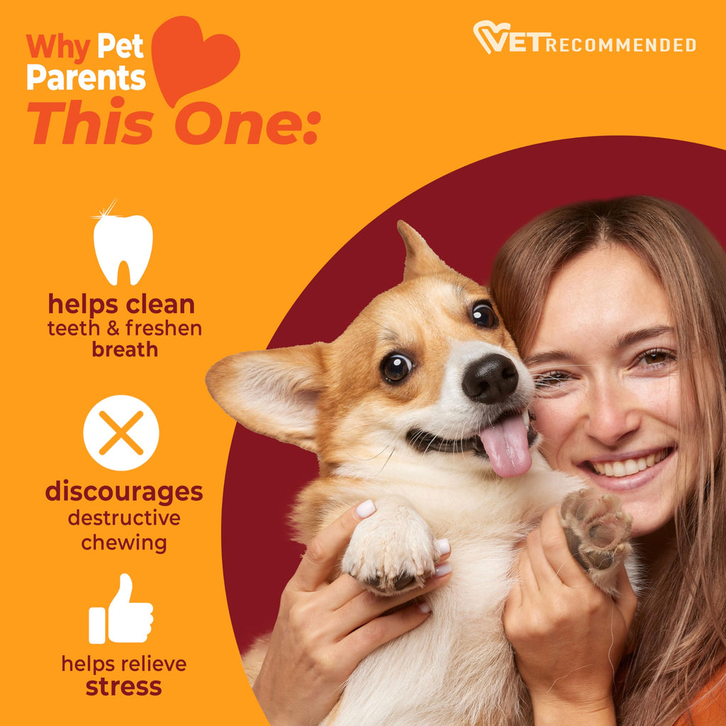 Dog Chew Toy Y600985