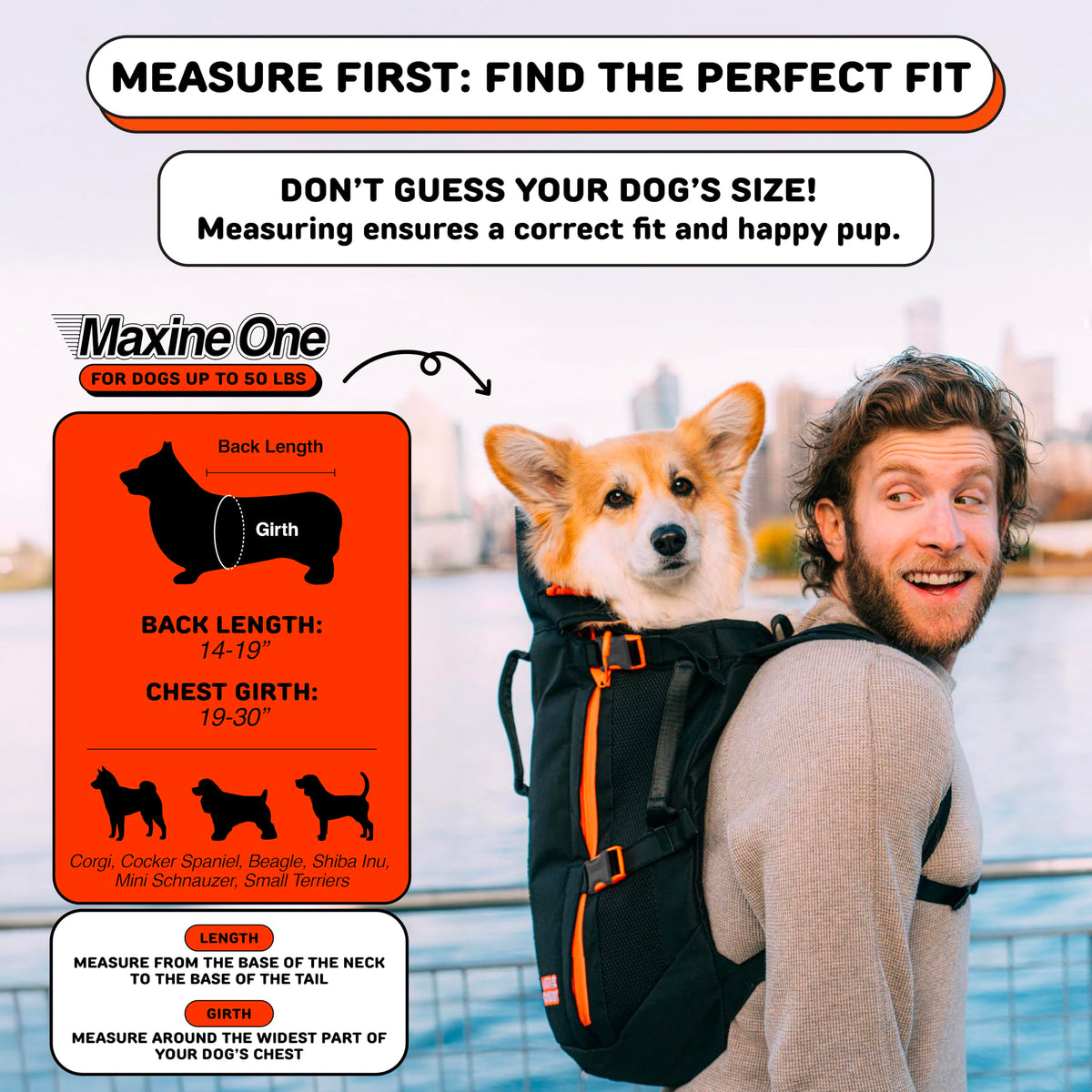 Dog Backpack Carrier T841