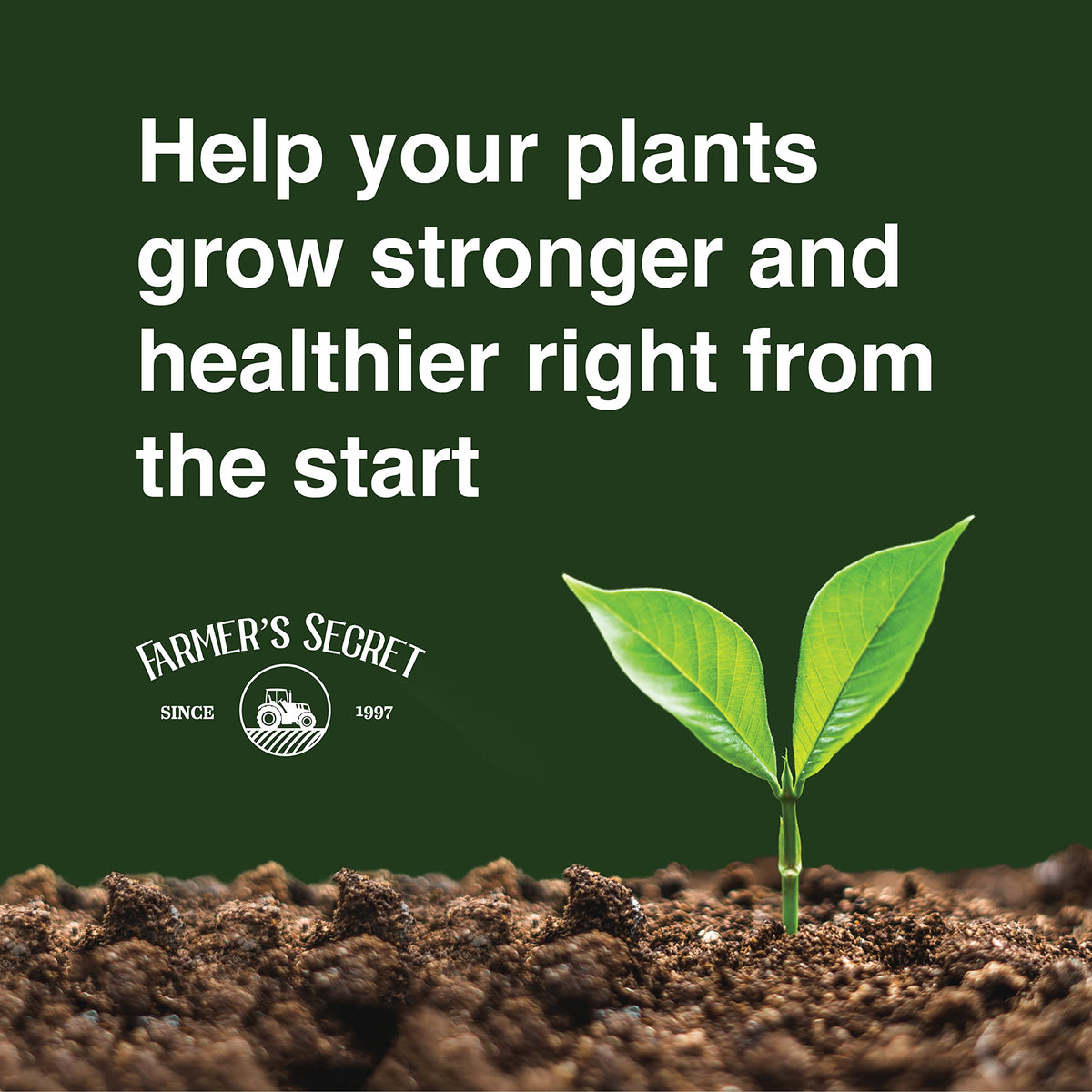 32oz Concentrated High Phosphorus Plant Booster H1617
