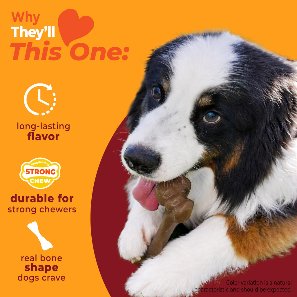 Dog Chew Toy Y600985