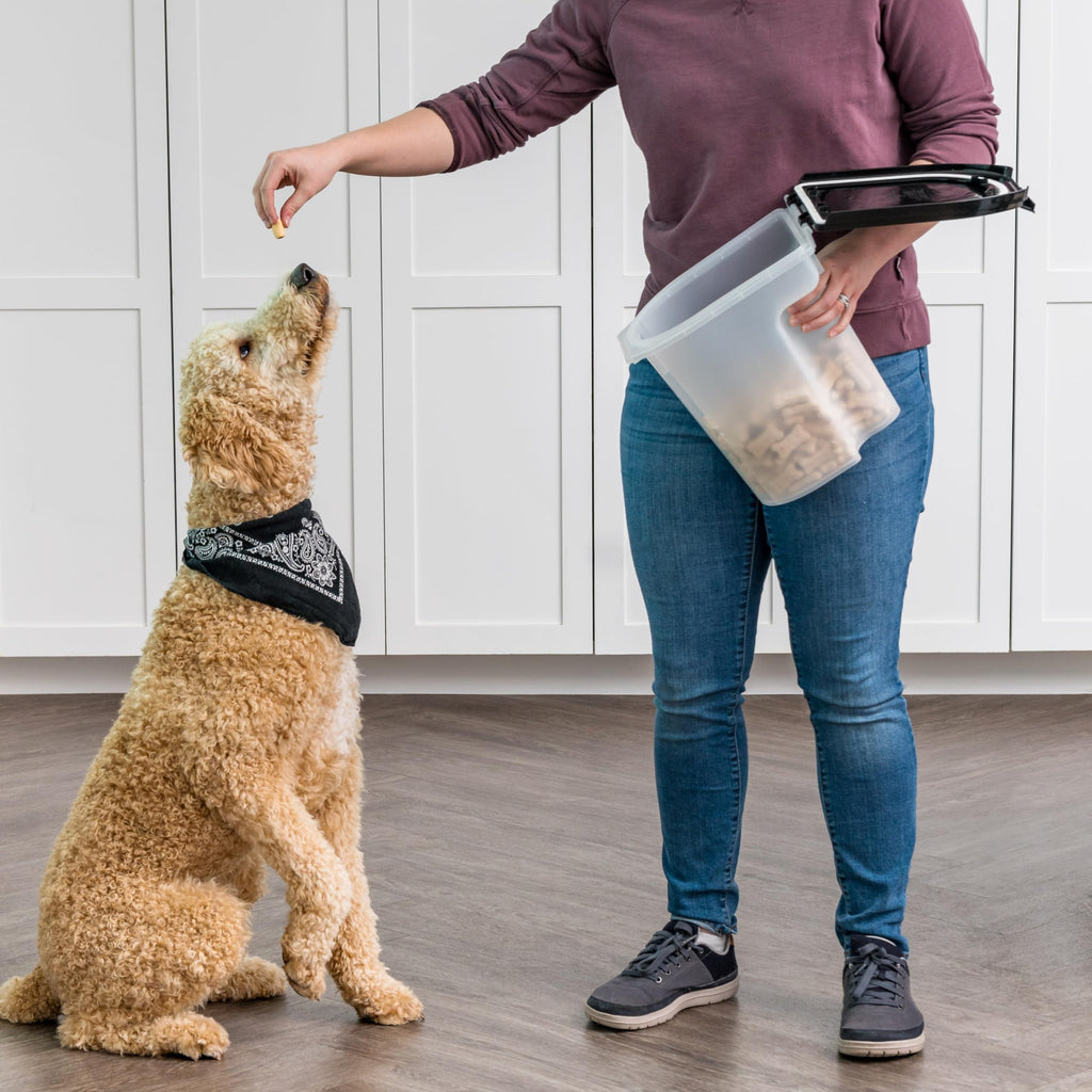 Black Dog Food Storage Container Q8328