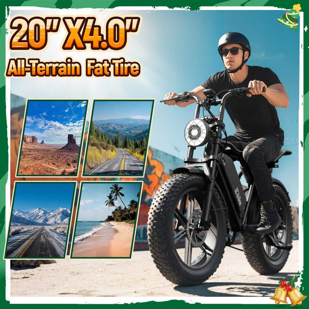 Electric Bike for Adults M681125