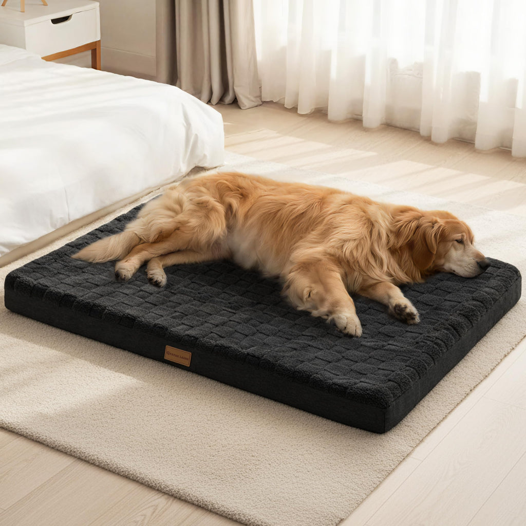 Large Washable Dog Bed 36''X24'' Black A51065