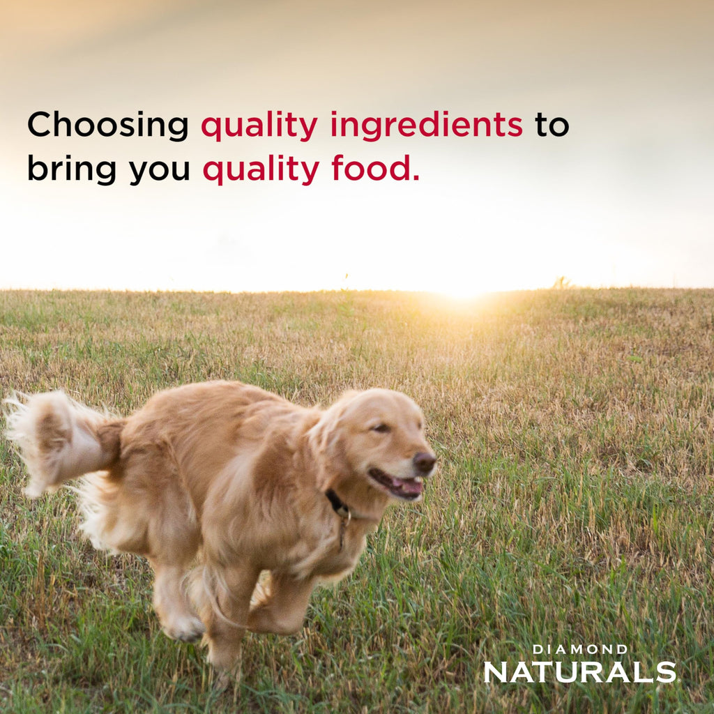 Chicken Puppy Dry Dog Food 6lb V96318