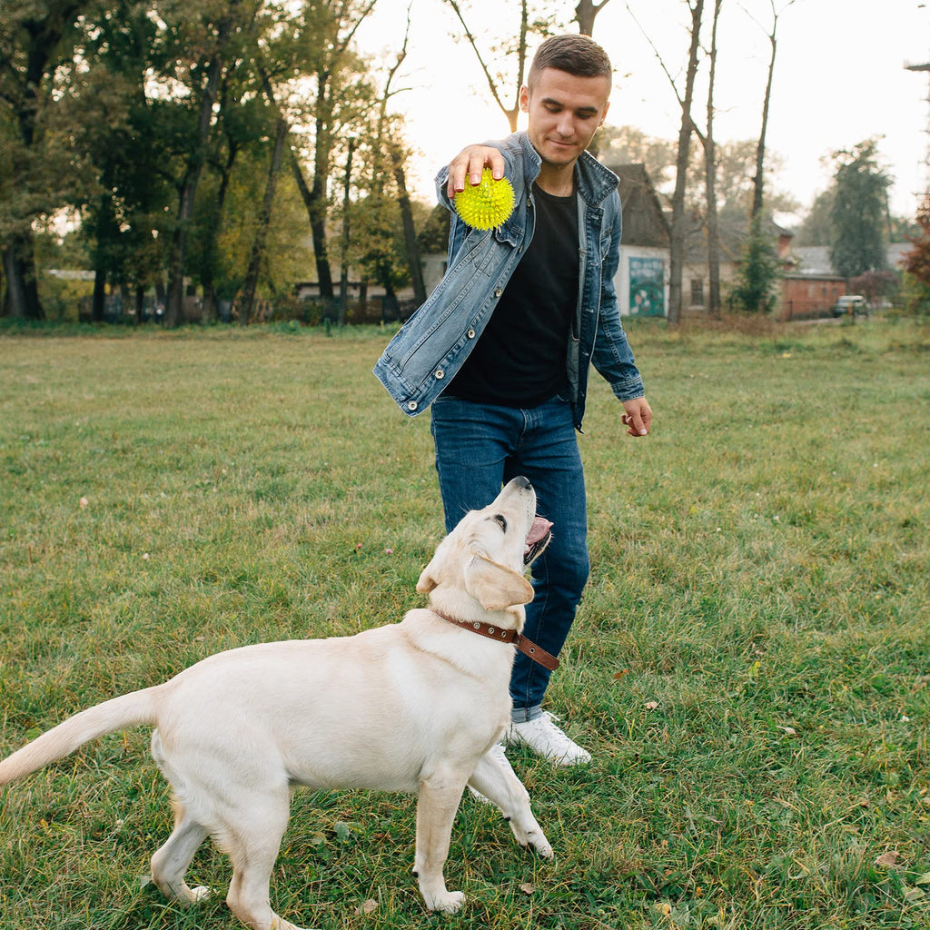 Squeaky Dog Toy Balls BPA Free Non-Toxic H731